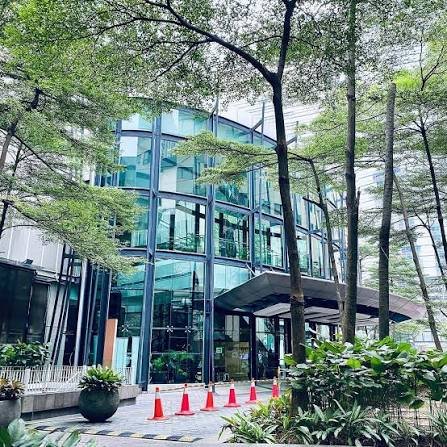 International Specialist Eye Centre (ISEC)